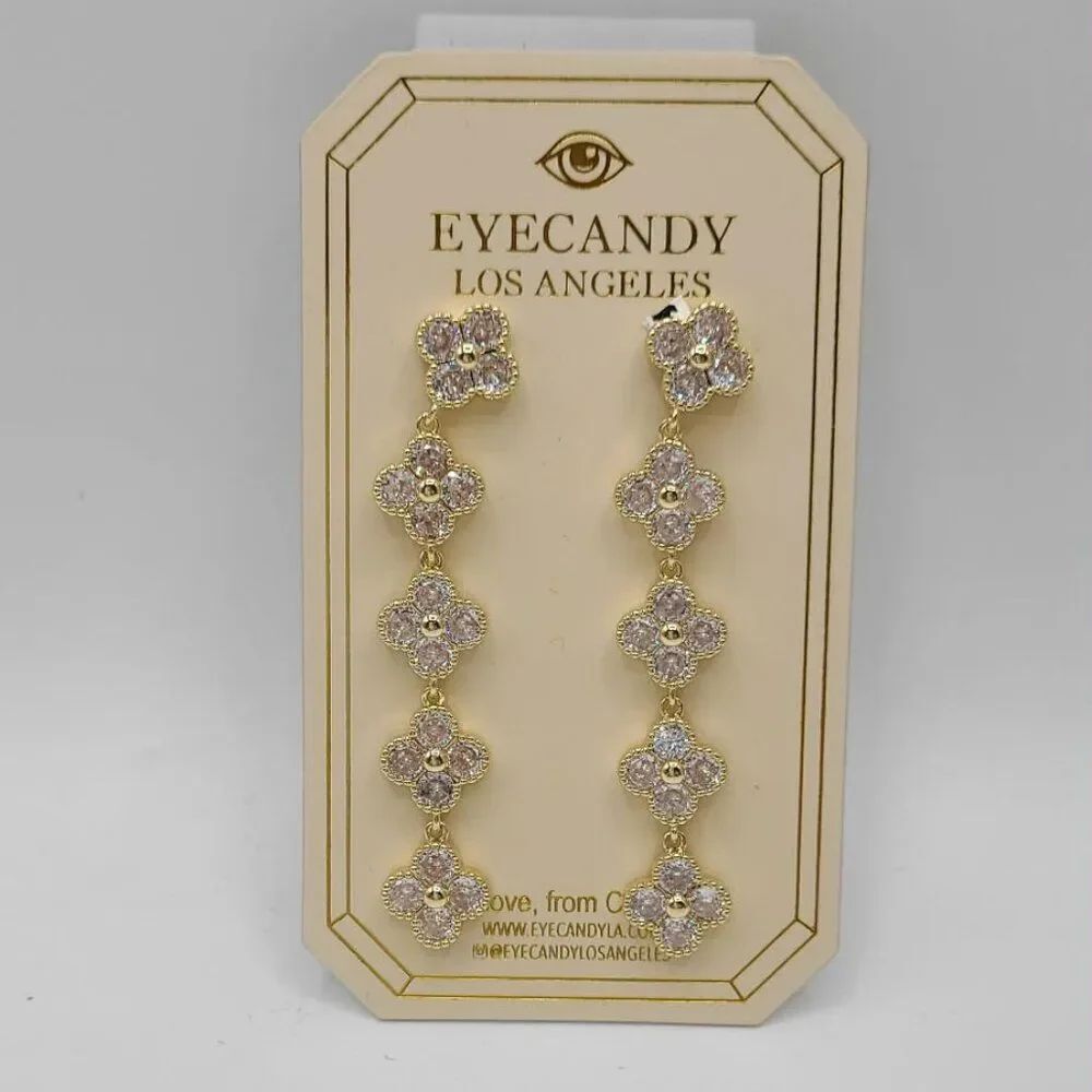 Eye Candy Clear Crystal Drop Earrings NWT! NEW!